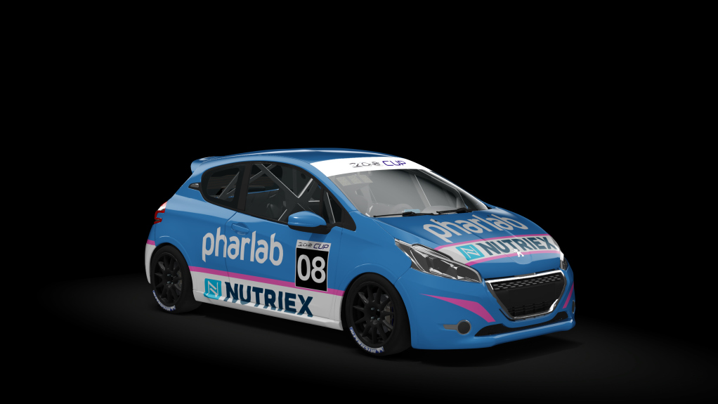 Car Skin