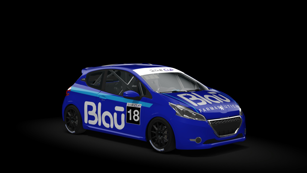 Car Skin