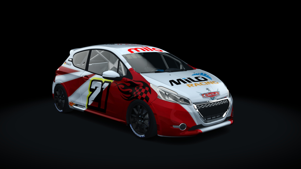 Car Skin