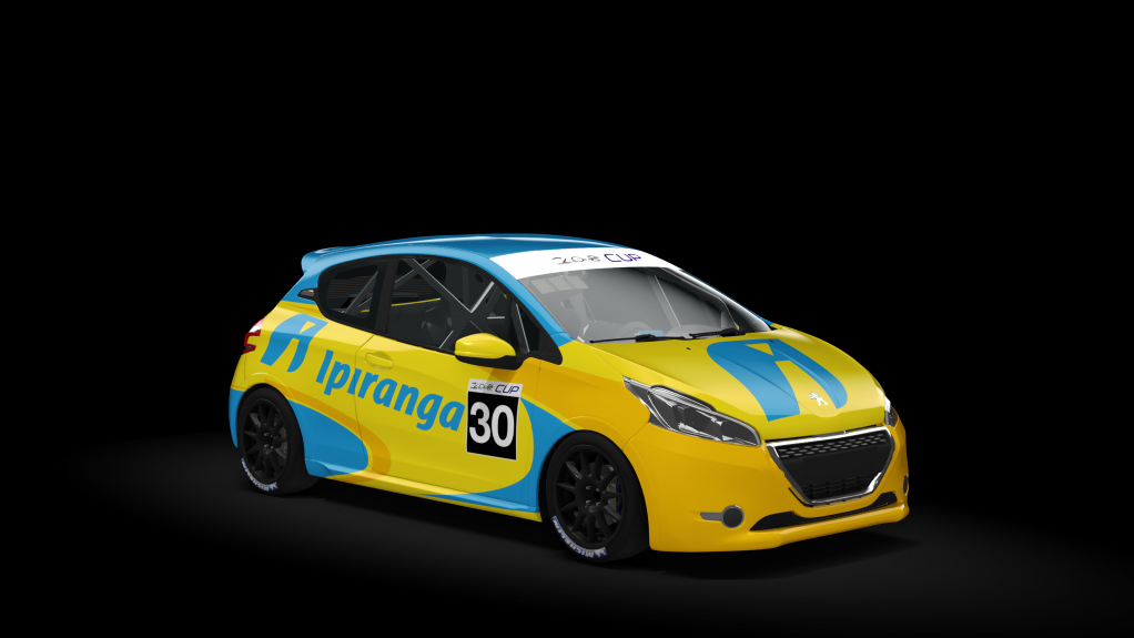 Car Skin