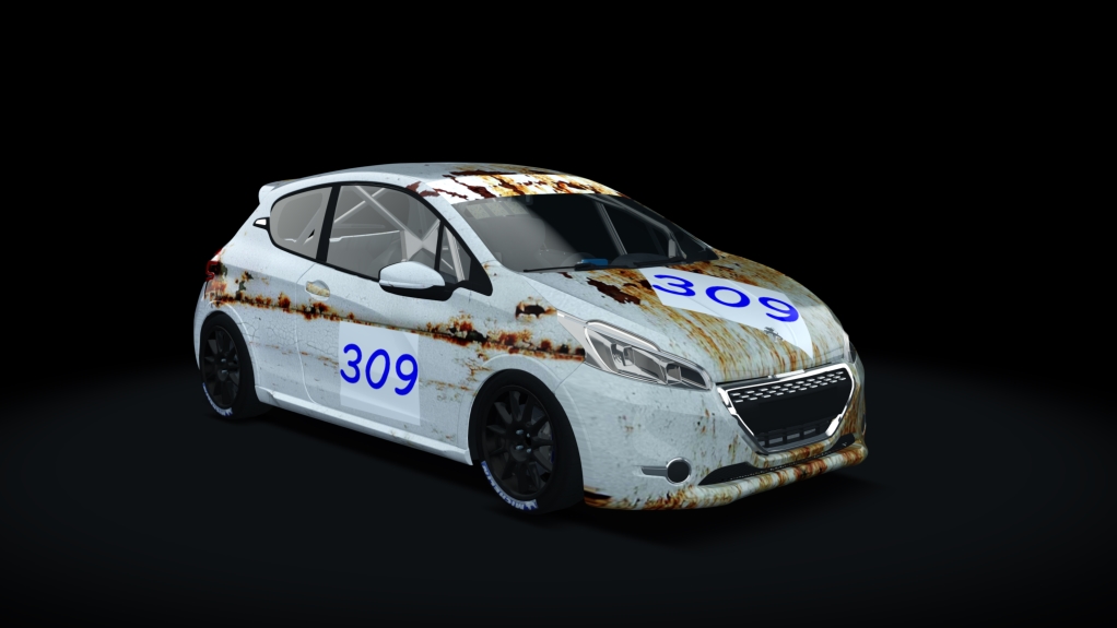 Car Skin