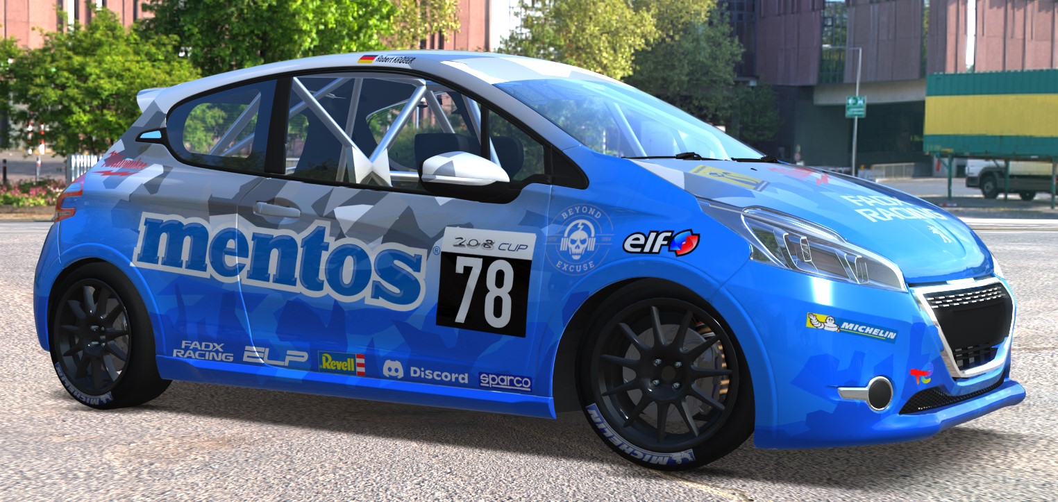 Car Skin