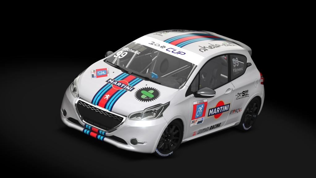 Car Skin