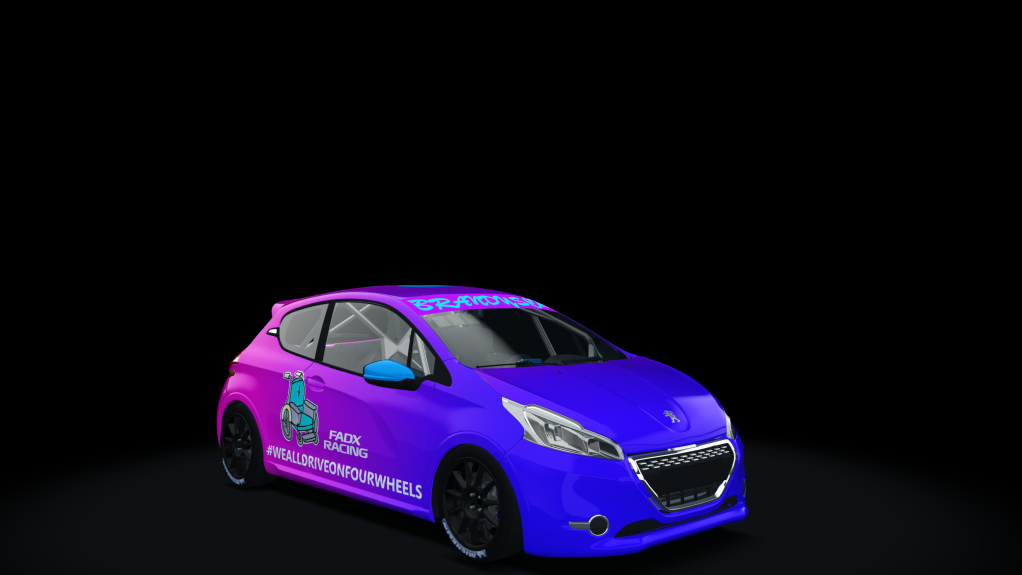 Car Skin